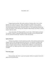 Plytelių klojimo darbai 2 puslapis