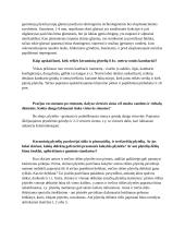 Plytelių klojimo darbai 12 puslapis