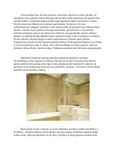 Plytelių klojimo darbai 5 puslapis