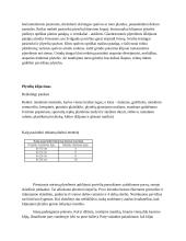 Plytelių klojimo darbai 6 puslapis