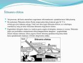 „Šiltnamio efektas“: galimi pavojai. Atmosferos sudėtis. Užterštumas 2 puslapis