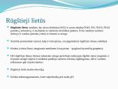 „Šiltnamio efektas“: galimi pavojai. Atmosferos sudėtis. Užterštumas 11 puslapis