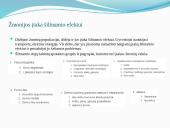 „Šiltnamio efektas“: galimi pavojai. Atmosferos sudėtis. Užterštumas 5 puslapis