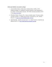 LDK gobelenų istorija 11 puslapis