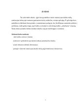 Kalbos klaidų taisymas ir apibendrinimas rašytiniuose specialybės tekstuose 3 puslapis