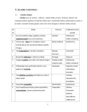 Kalbos klaidų taisymas ir apibendrinimas rašytiniuose specialybės tekstuose 4 puslapis