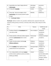 Kalbos klaidų taisymas ir apibendrinimas rašytiniuose specialybės tekstuose 5 puslapis