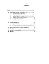 Ar šiuolaikinio meno centro renginiuose dominuoja inovacijos 2 puslapis