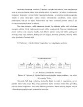 Ar šiuolaikinio meno centro renginiuose dominuoja inovacijos 19 puslapis