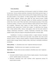 Ar šiuolaikinio meno centro renginiuose dominuoja inovacijos 3 puslapis