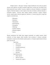 Ar šiuolaikinio meno centro renginiuose dominuoja inovacijos 6 puslapis