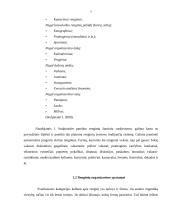 Ar šiuolaikinio meno centro renginiuose dominuoja inovacijos 7 puslapis