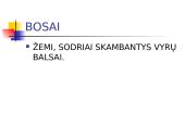 Dainininkų solistų balsai 17 puslapis