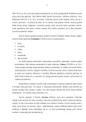 Masažo istorija 5 puslapis