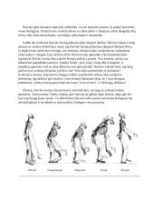 Darvinas ir evoliucija konspektas 2 puslapis