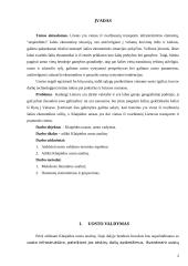 Darbas apie oro uostą 2 puslapis