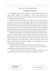 Darbas apie oro uostą 11 puslapis