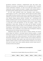 Darbas apie oro uostą 13 puslapis