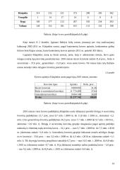 Darbas apie oro uostą 14 puslapis