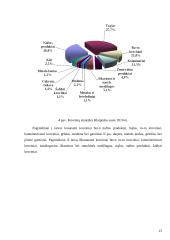 Darbas apie oro uostą 15 puslapis