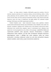 Darbas apie oro uostą 19 puslapis