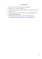 Darbas apie oro uostą 20 puslapis