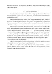 Darbas apie oro uostą 3 puslapis