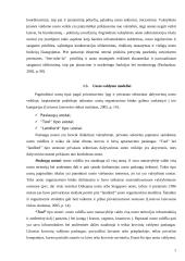 Darbas apie oro uostą 7 puslapis