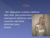Skaidrės apie užgavėnes 14 puslapis
