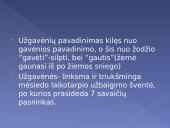 Skaidrės apie užgavėnes 3 puslapis