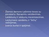 Skaidrės apie užgavėnes 5 puslapis