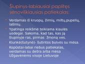 Skaidrės apie užgavėnes 8 puslapis