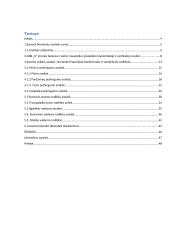 Įmonės UAB „X“ finansinė analizė 2 puslapis