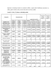 Įmonės UAB „X“ finansinė analizė 11 puslapis