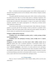 Įmonės UAB „X“ finansinė analizė 15 puslapis