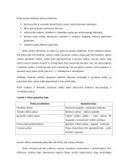 Įmonės UAB „X“ finansinė analizė 16 puslapis