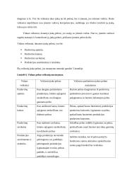 Įmonės UAB „X“ finansinė analizė 17 puslapis