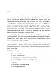 Įmonės UAB „X“ finansinė analizė 4 puslapis