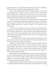 Parduotuvėse skambanti muzika 11 puslapis