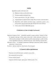 Hipotetinio medelyno projektas 2 puslapis