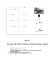 Hipotetinio medelyno projektas 15 puslapis