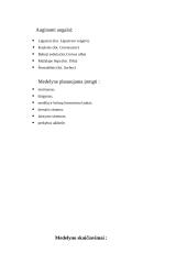 Hipotetinio medelyno projektas 3 puslapis