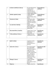 Hipotetinio medelyno projektas 7 puslapis