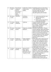 Hipotetinio medelyno projektas 10 puslapis