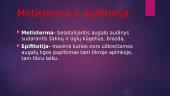 Augalų klonavimas 9 puslapis