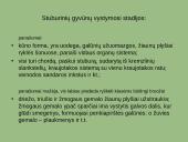 Paleontologiniai, lyginamosios anatomijos ir embriologijos evoliuciniai įrodymai 12 puslapis