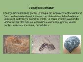 Paleontologiniai, lyginamosios anatomijos ir embriologijos evoliuciniai įrodymai 4 puslapis