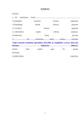 ES struktūriniai fondai, jų parama Lietuvai 2 puslapis