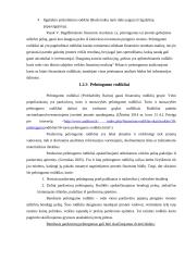 Bankų finansinė analizė darbas 13 puslapis