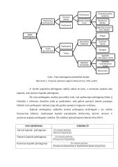 Bankų finansinė analizė darbas 16 puslapis